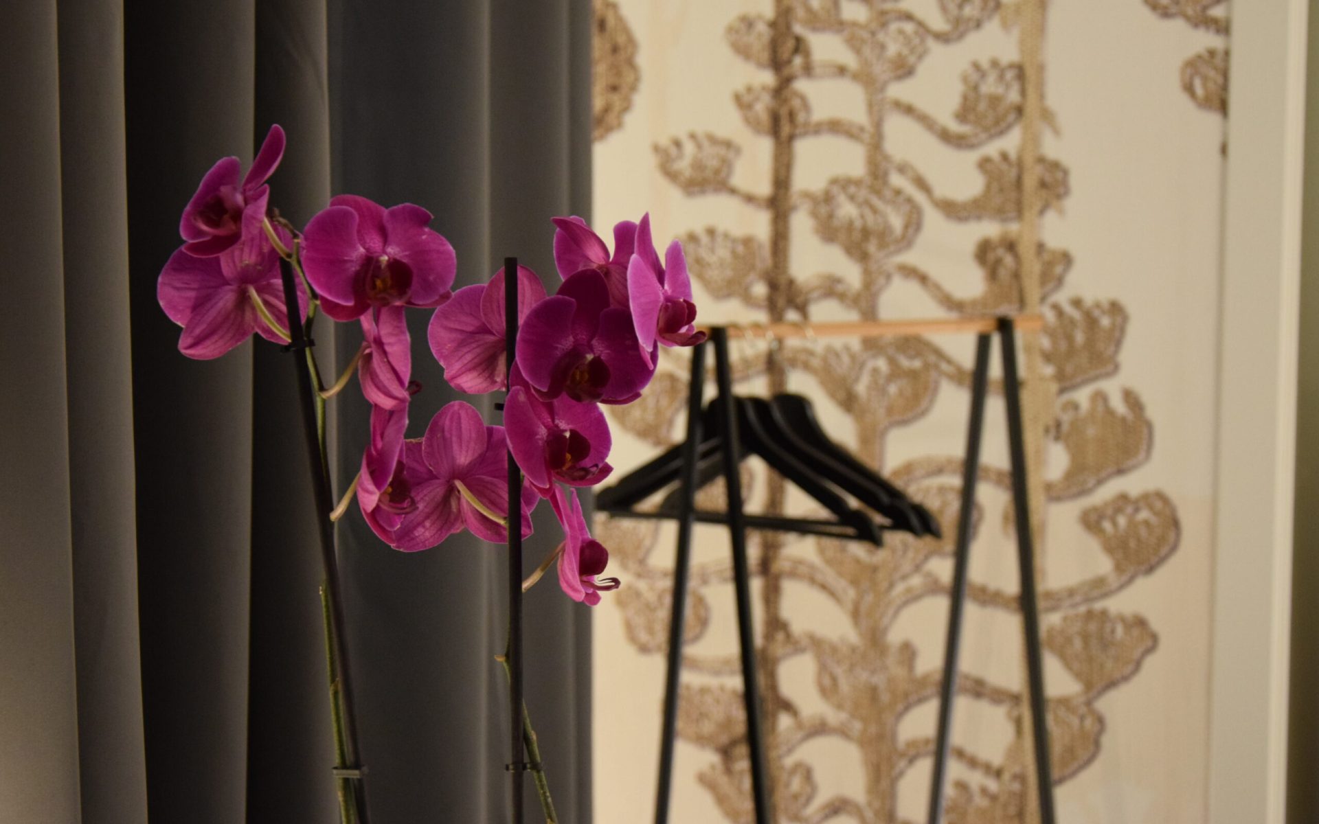 Elegantia B&b Mercato San Severino (SA)